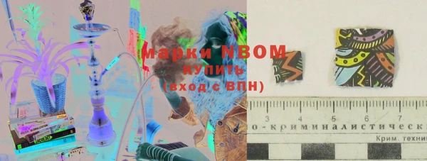 СК Вязьма