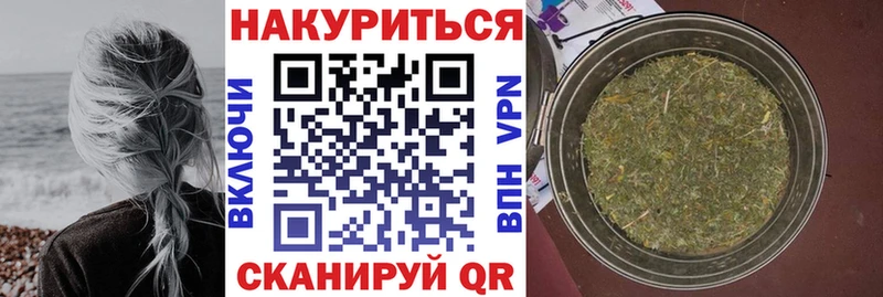 Каннабис сатива  где купить наркоту  Шахты 